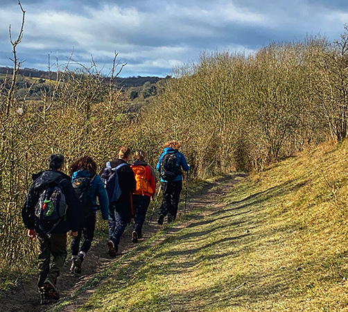 group of hikers walking on a trail in a countryside setting surrounded by trees and grass three nature enthusiasts enjoying the outdoors