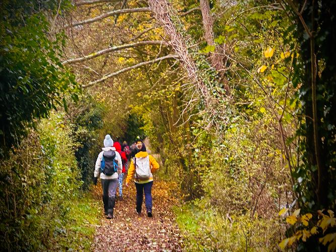 Guided Day Hikes from London: Stunning Trails by Public Transport Escape London: Guided Day Hikes by Public Transport – All Levels!